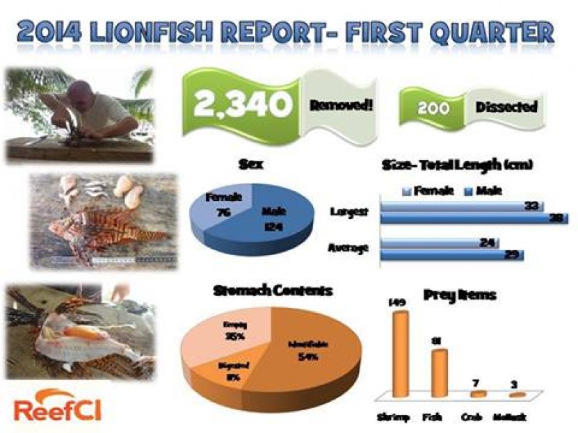 Lionfish statistics 2014 - Year to Date | PADI AWARE